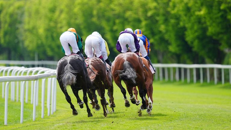 Newton Abbot hosts UK racing